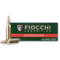 FIOCCHI 243 WIN 95GR SST (20Pkt) POLYMER TIP