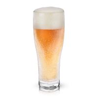 Viski Glacier Double-Walled Beer Chilling Glass