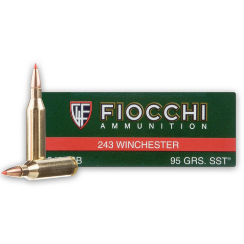 FIOCCHI 243 WIN 95GR SST (20Pkt) POLYMER TIP